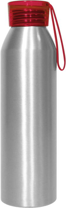 T566 PLATA Y ROJO