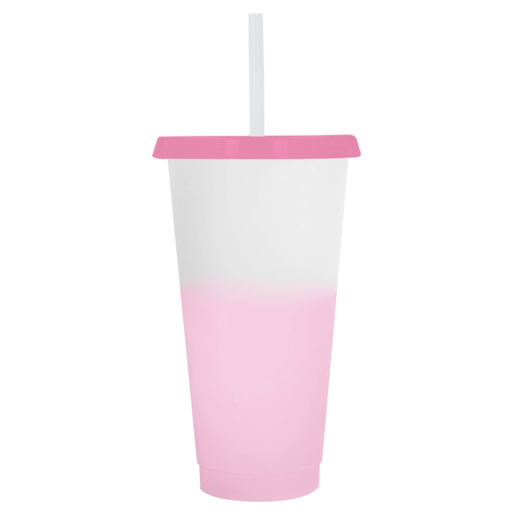 T 316 ROSA