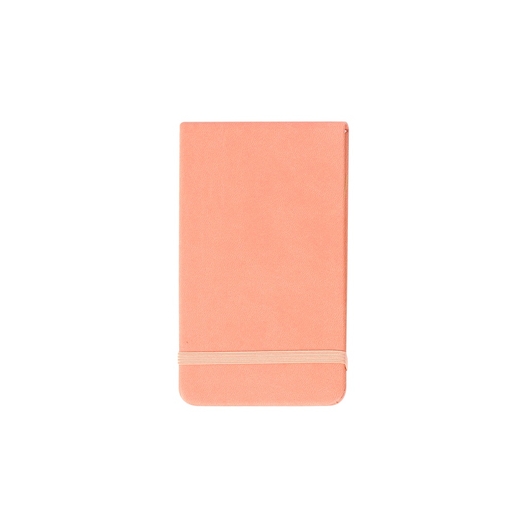 LB-098RS