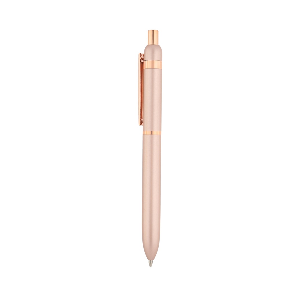 FM 22030 ROSA