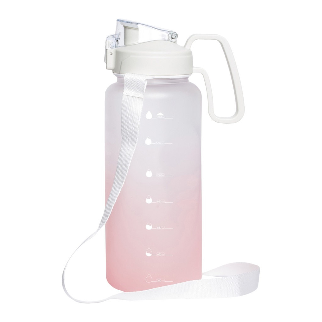 T 206 ROSA