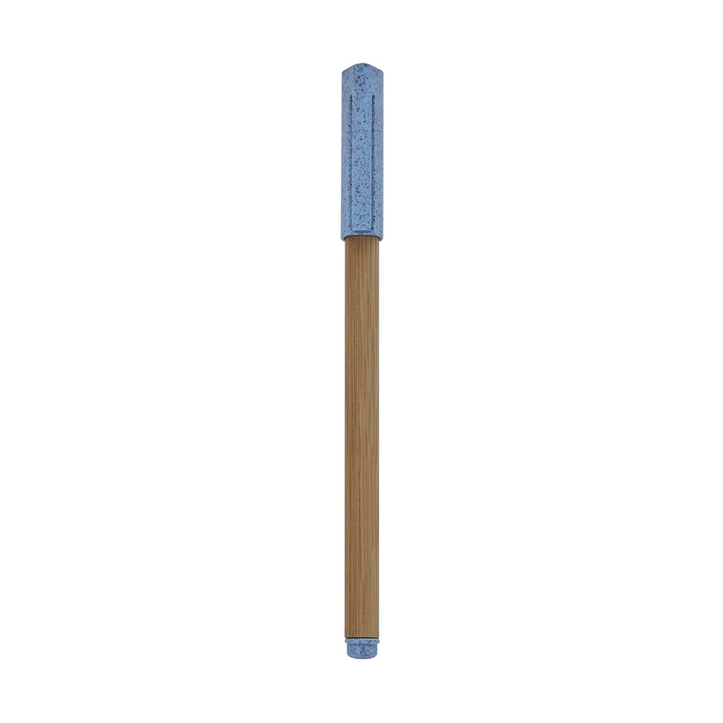 ECO 070 A