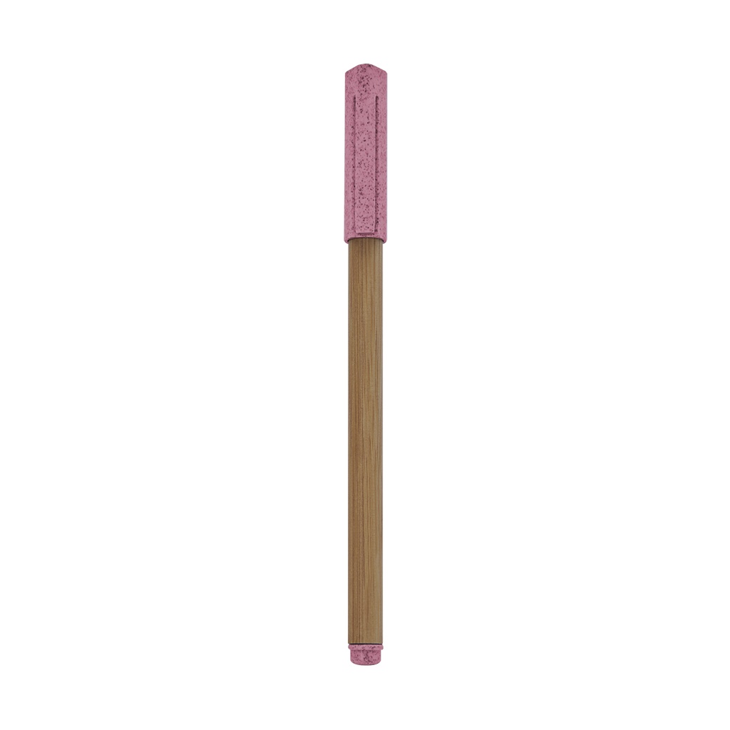 ECO 070 P