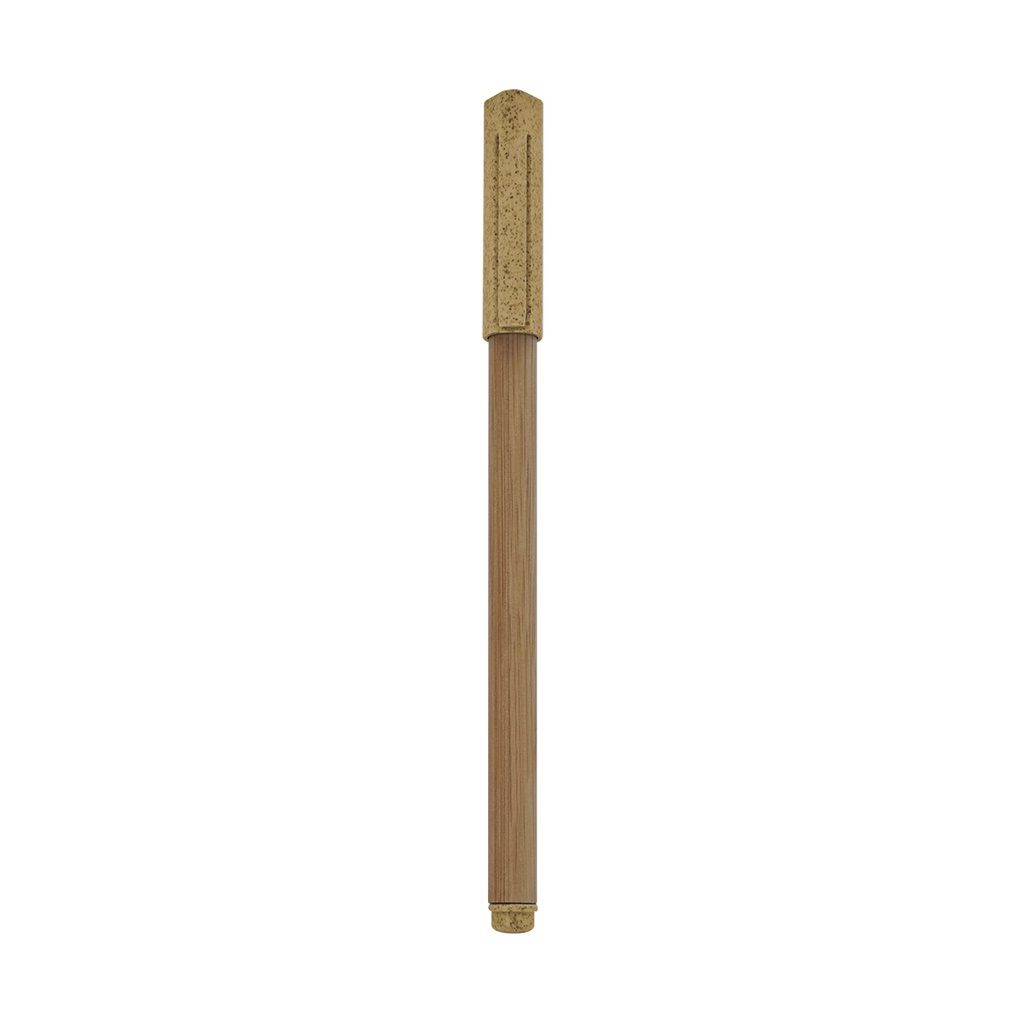 ECO 070 Y