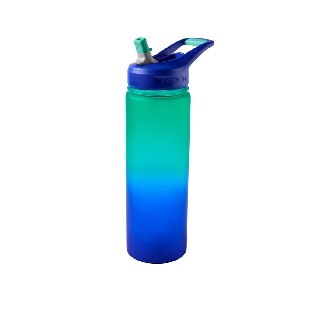 EVS 001 A