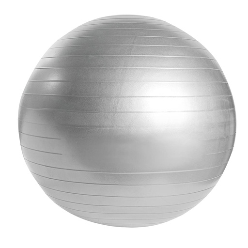 [PELOTA DE PILATES WELLNESS] SPO 018 S