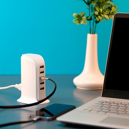 [Multiconector Correggio.] TH-056