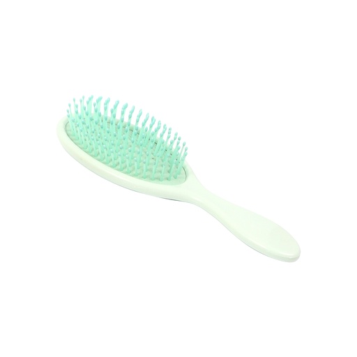 [Cepillo Assergi.] BE-042V