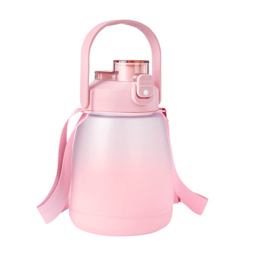 [CILINDRO MINSK ROSA] ANF 079 P