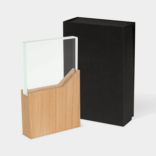 [RECONOCIMIENTO LYNOR] RMT 001 BE