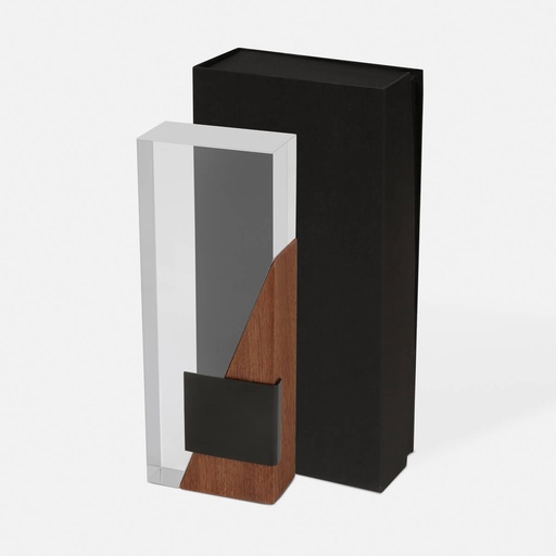[RECONOCIMIENTO AURIX] RMT 002 C