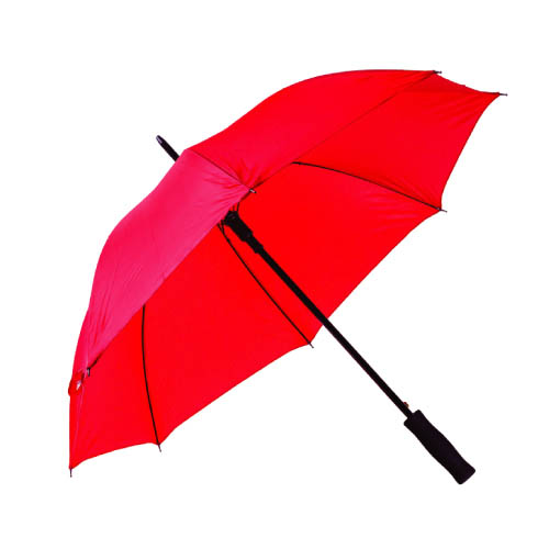 [RAIN] PM 02 ROJO